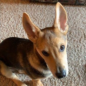 Meet your Posher, Bill